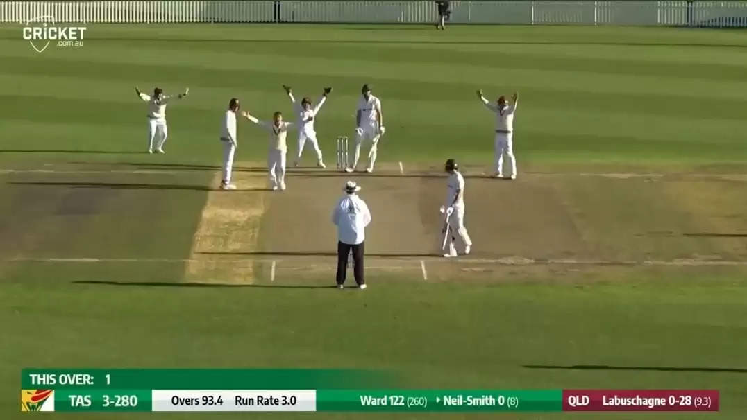 WATCH: Marnus Labuschagne does a Stuart Broad with his celebrappeal; Warner, Paine tease him