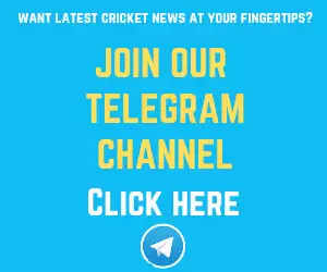 Cricket NFT Platform Rario set to become biggest players in the market with a $100 million funding from Dream Capital