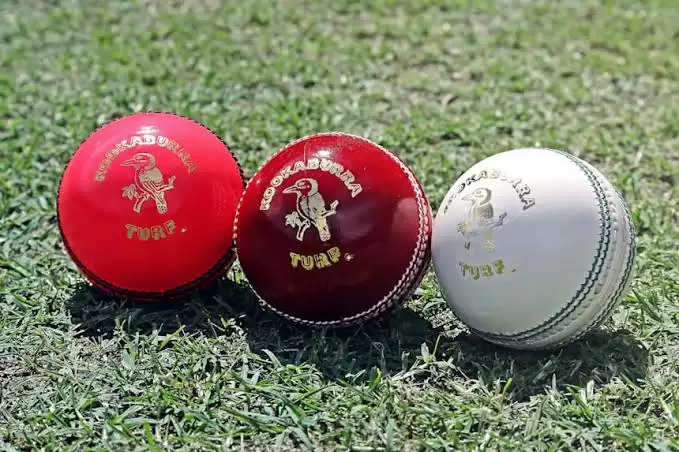 Kookaburra create wax applicator to shine Cricket ball