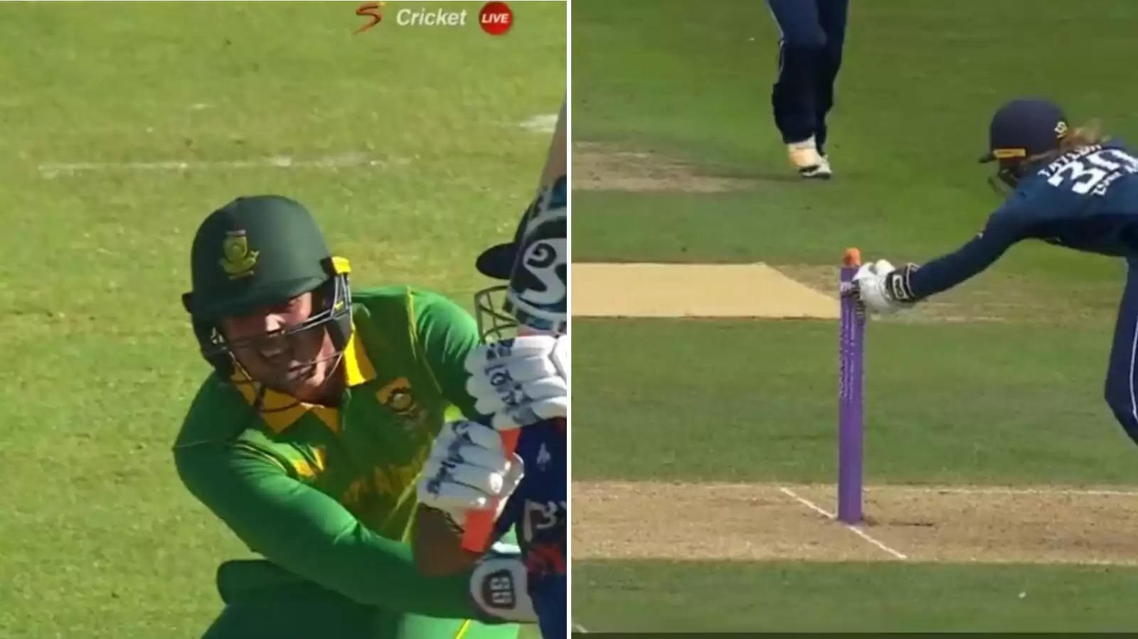 WATCH: QDK’s ridiculous leg-side stumping that got the stamp of approval from world’s best