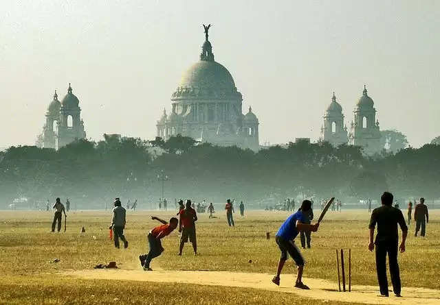A Time When the Planet Stands Still – Living in a World Without Cricket