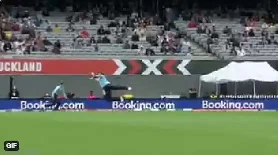 WATCH: Heather Knight’s spectacular diving catch in the Women’s World Cup game vs NZ