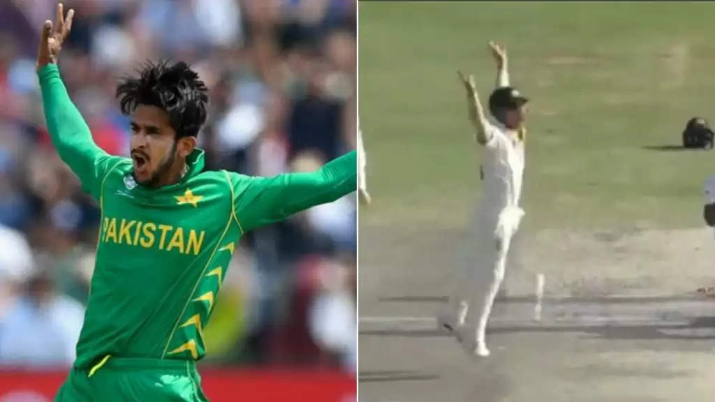 WATCH: David Warner imitates Hasan Ali’s celebration during Lahore Test