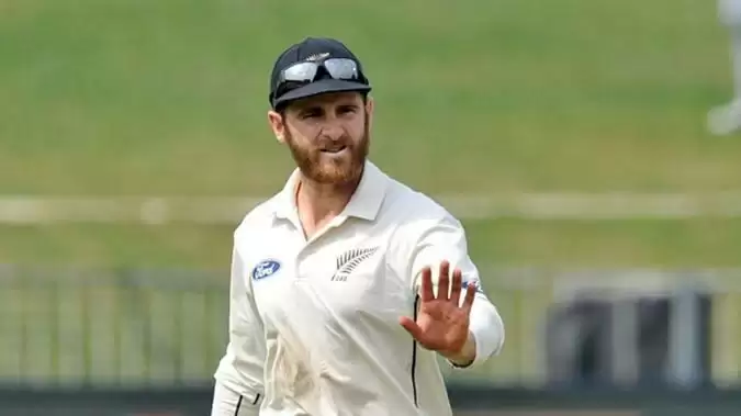 Williamson hails ‘hard work’ to save Test, seal England series win