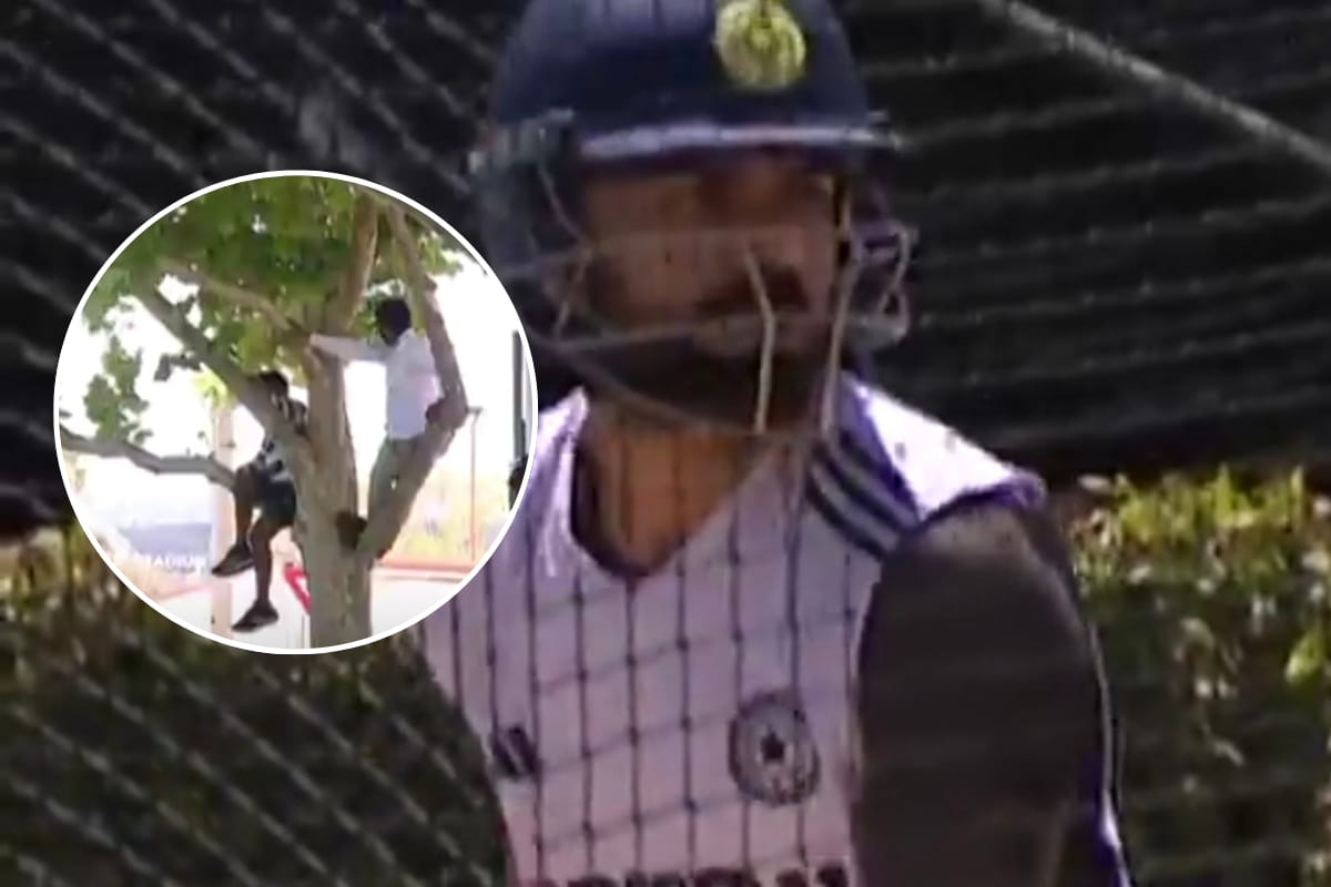 As Virat Kohli started preparations for the upcoming Border Gavaskar Trophy, a few fans were spotted climbing nearby trees to watch him play.