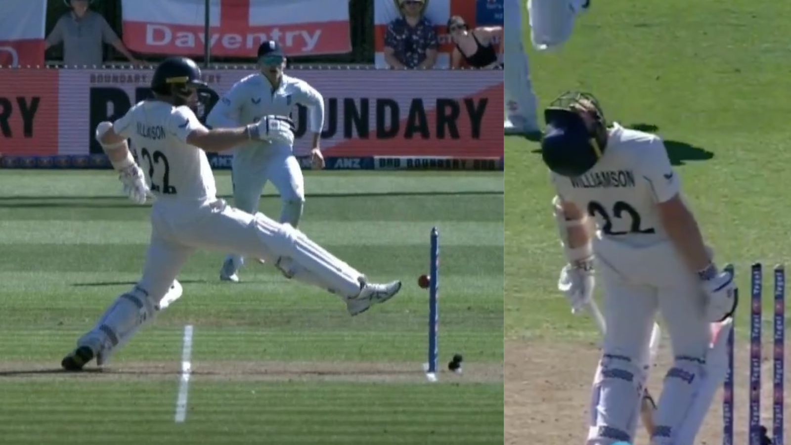 Kane Williamson bizarre dismissal