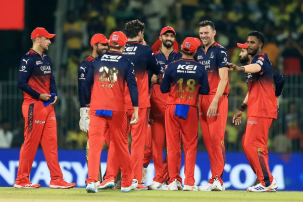 Will Josh Hazlewood and Tim David Play PBKS vs RCB Qualifier 1 IPL 2025 Match