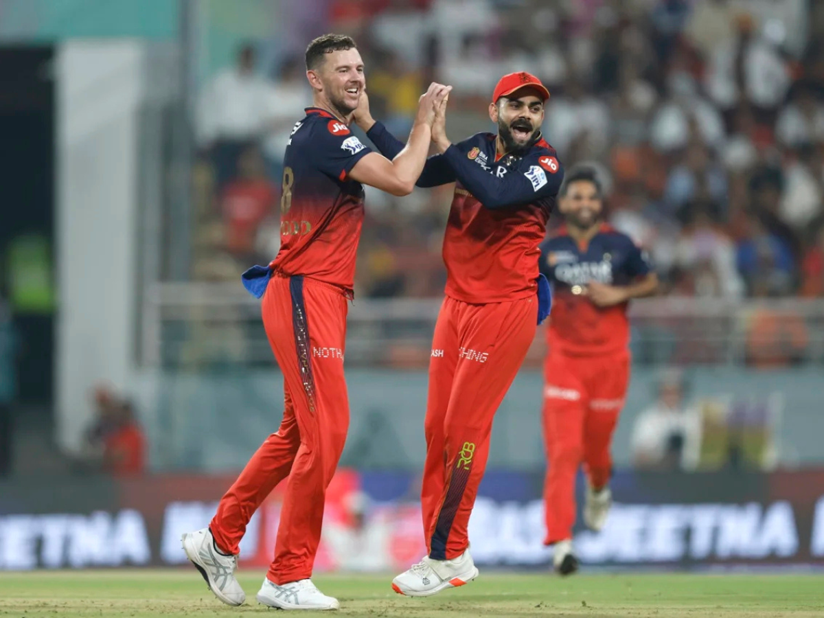 Former IPL-winning Captain David Warner Backs RCB to Clinch Their Maiden Trophy in IPL 2025