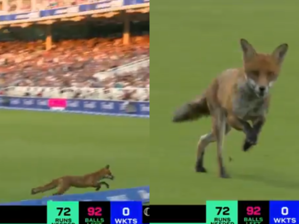 Bizarre Incident on Opening Day of The Hundred 2025, Fox Interrupts London Spirit vs Oval Invincibles Match At Lord's [WATCH]